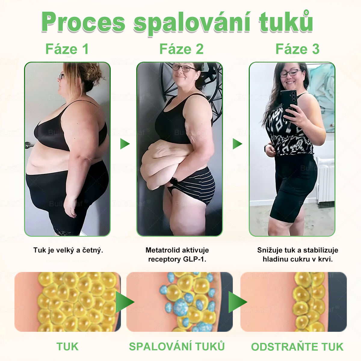 Oficiální obchod | BuildLeaf® GLP-1 6-v-1 Health Solution Perorální tekutina (Pouze jednou denně, viditelné změny za 7 dní) ✅ Pro obezitu, kardiovaskulární onemocnění, cukrovku, spánkovou apnoe, zdraví střev, problémy s klouby a další